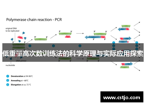 低重量高次数训练法的科学原理与实际应用探索